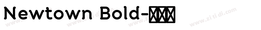 Newtown Bold字体转换